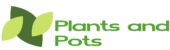 Plants and Pots