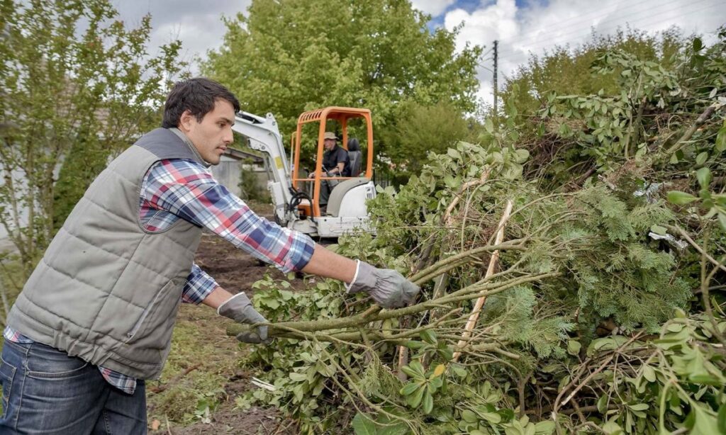 tree pruning services sydney