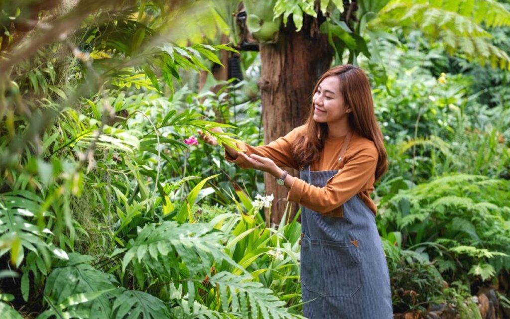 tree pruning services sydney