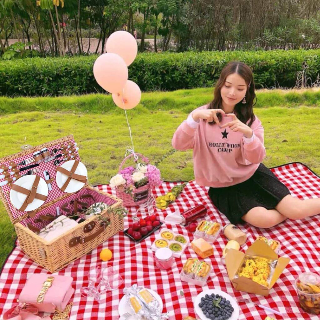 Luxury Picnic Set for Outdoor Dining